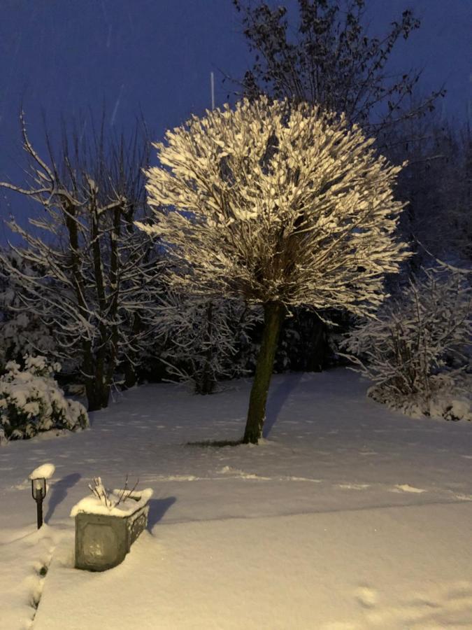 Le Gite Bleu Willgottheim Eksteriør bilde