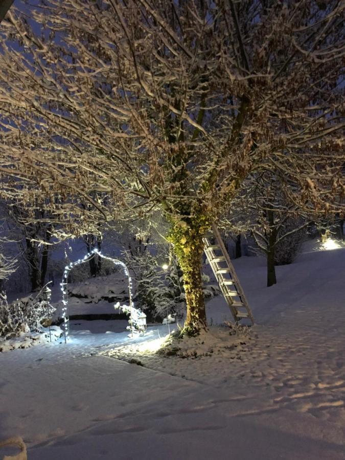 Le Gite Bleu Willgottheim Eksteriør bilde